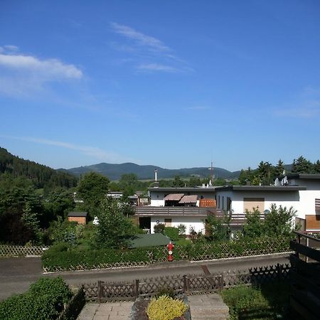 Haus Panoramablick Villa Медебах Екстериор снимка