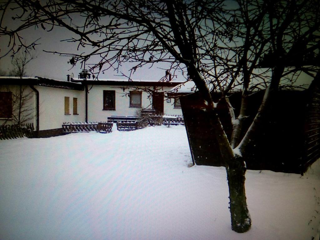 Haus Panoramablick Villa Медебах Екстериор снимка